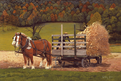 Amish Harvest -  Kathleen Green - McGaw Graphics