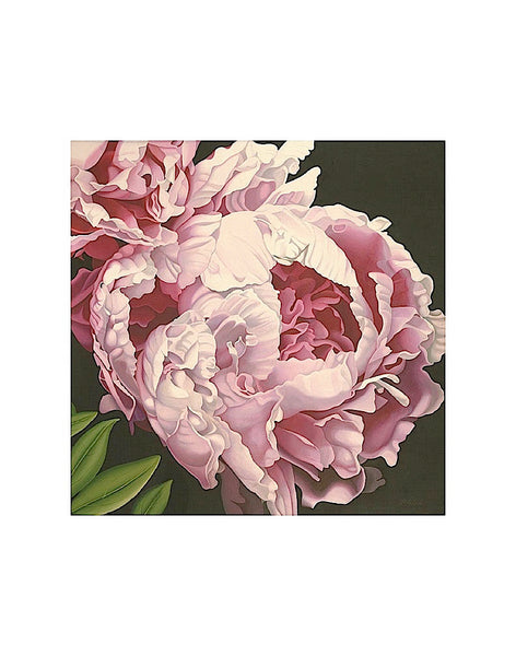 Peony II | McGaw Graphics