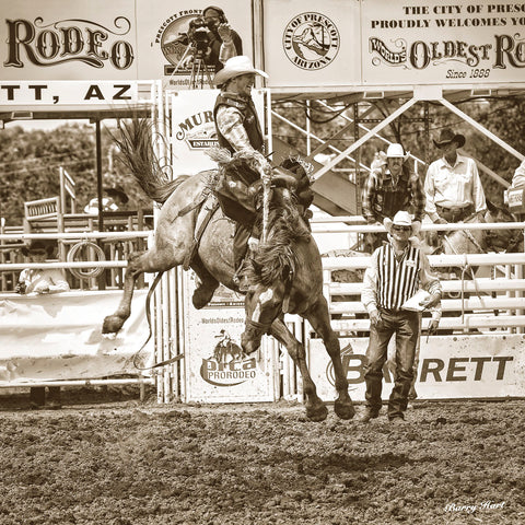 Rodeo -  Barry Hart - McGaw Graphics