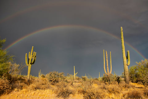 Arizona Rainbow -  Barry Hart - McGaw Graphics