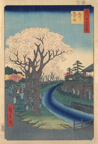 Sightseers Viewing Cherry Blossoms along the Banks of the Tama River at Edo -  Ando Hiroshige - McGaw Graphics