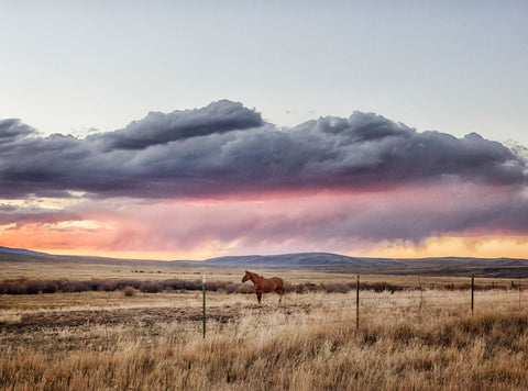 Big Creek Cattle Ranch Sunset, Wyoming -  Carol M. Highsmith - McGaw Graphics