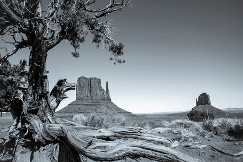 Monument Valley (B & W) -  Barry Hart - McGaw Graphics