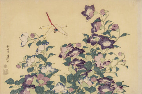 Bellflower and Dragonfly, about 1833-34