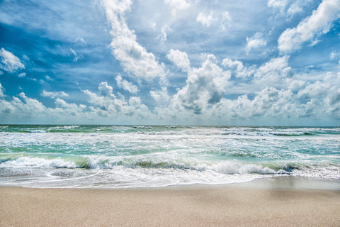 Beauty of the Seas -  Mary Lou Johnson - McGaw Graphics