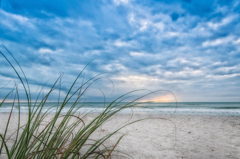 Sea Oat Curl of Sunset -  Mary Lou Johnson - McGaw Graphics