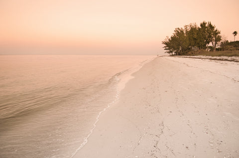 Beach Stroll