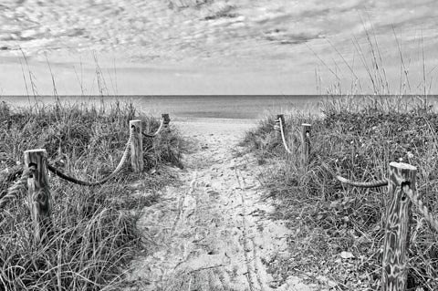 Morning Has Broken (b/w)