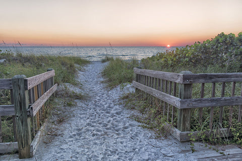 Evening Walk -  Mary Lou Johnson - McGaw Graphics