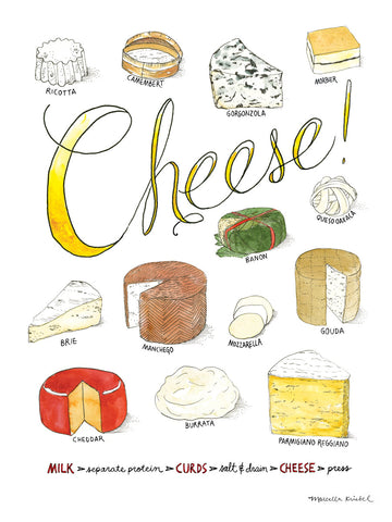 Cheese -  Marcella Kriebel - McGaw Graphics