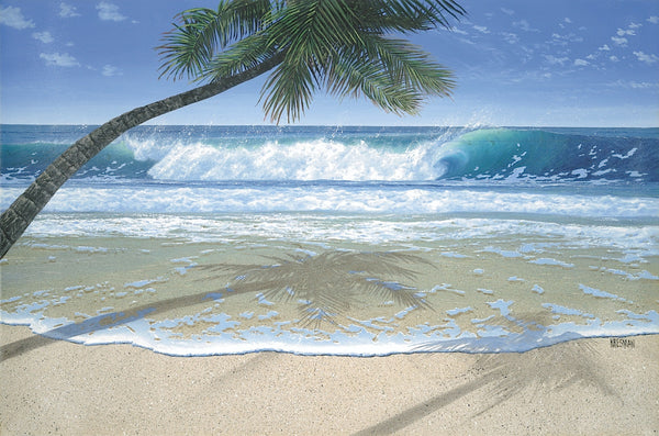 Summer Shade | McGaw Graphics