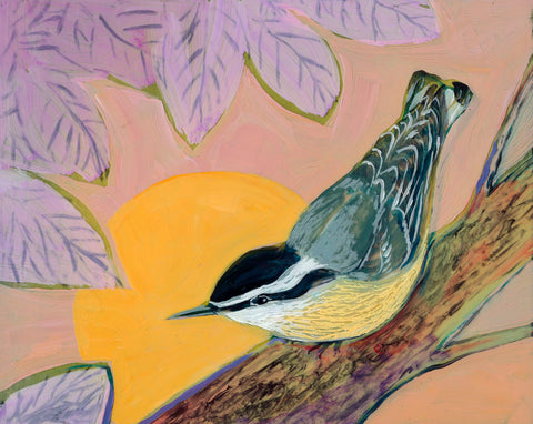 Evening Nuthatch -  Jennifer Lommers - McGaw Graphics