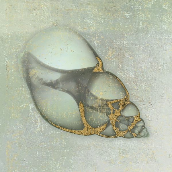 Neptune's Garden III McGaw Graphics