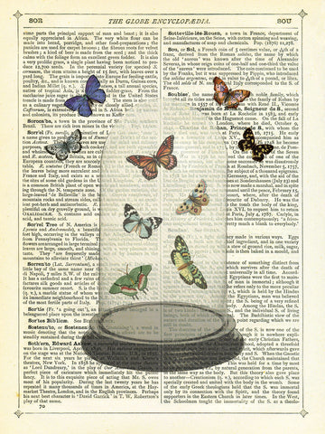 Butterfly Dome -  Marion McConaghie - McGaw Graphics
