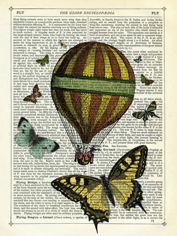 Butterflies & Balloon -  Marion McConaghie - McGaw Graphics