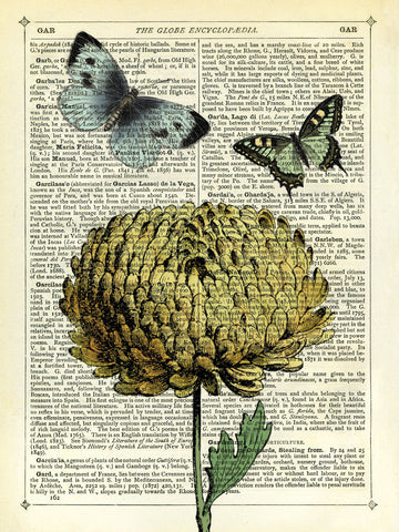 Flower & Butterflies -  Marion McConaghie - McGaw Graphics