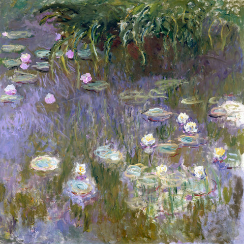 Water Lilies, 1922 -  Claude Monet - McGaw Graphics