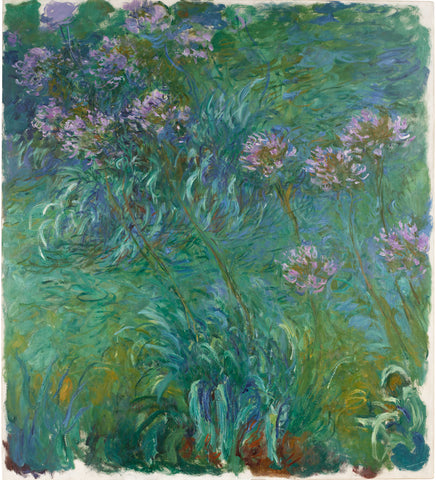 Agapanthus, 1914-26 -  Claude Monet - McGaw Graphics