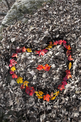 Love in the Leaves -  Orah Moore - McGaw Graphics