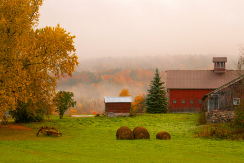 The Old Homestead -  Orah Moore - McGaw Graphics