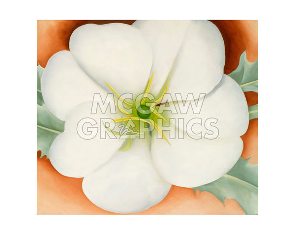 O134pf_66643280-2a4a-4343-b3e6