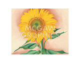 A Sunflower from Maggie, 1937 -  Georgia O'Keeffe - McGaw Graphics