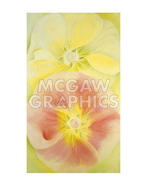 Pink and Yellow Hollyhocks, 1952 | McGaw Graphics