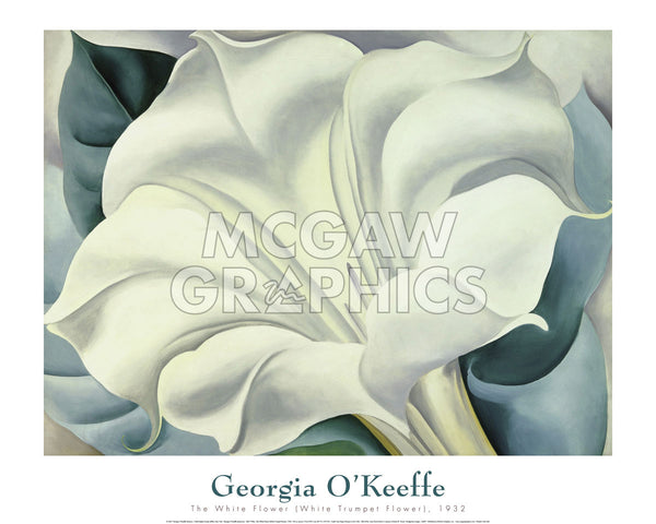The White Flower (White Trumpet Flower), 1932 | McGaw Graphics