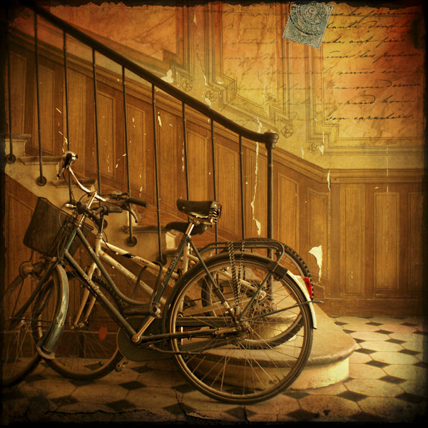 Bikes in Paris, France McGaw Graphics