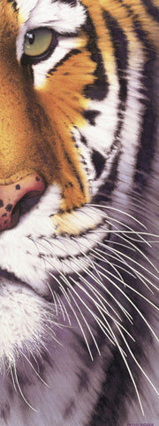 Tiger Eye -  Mitch Ridder - McGaw Graphics
