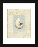 Soothing Words Shells II (Framed) -  Lisa Audit - McGaw Graphics