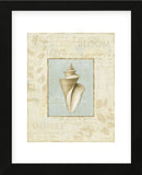 Soothing Words Shells III (Framed) -  Lisa Audit - McGaw Graphics