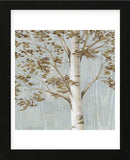 Birch Study I (Framed) -  Daphné B - McGaw Graphics