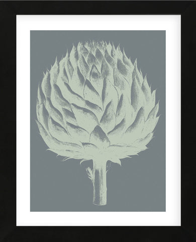 Artichoke 7 (Framed) -  Botanical Series - McGaw Graphics