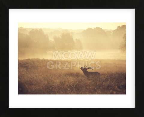 Call (Framed) -  Mark Bridger - McGaw Graphics