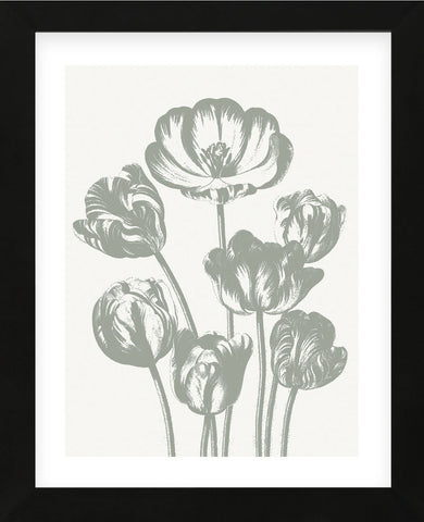 Tulips (Ivory & Sage) (Framed) -  Botanical Series - McGaw Graphics