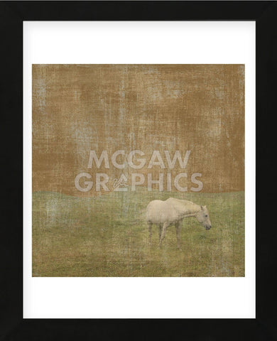 White Horse (Framed) -  Erin Clark - McGaw Graphics