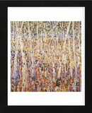 Birch Forest (Framed) -  Jean Cauthen - McGaw Graphics