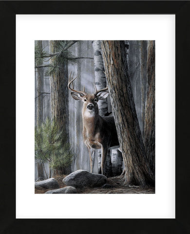 Solitary Buck (Framed) -  Kevin Daniel - McGaw Graphics