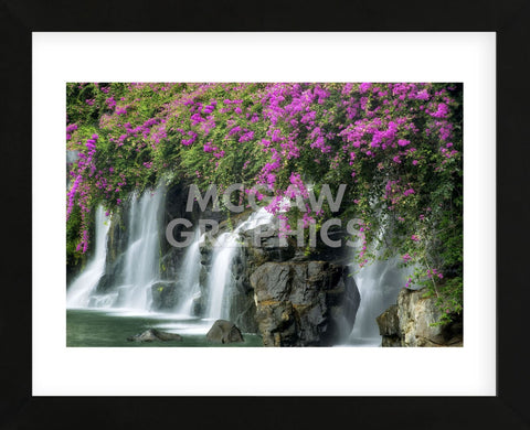 Floral Falls (Framed) -  Dennis Frates - McGaw Graphics
