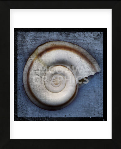 Snail (Framed) -  John W. Golden - McGaw Graphics