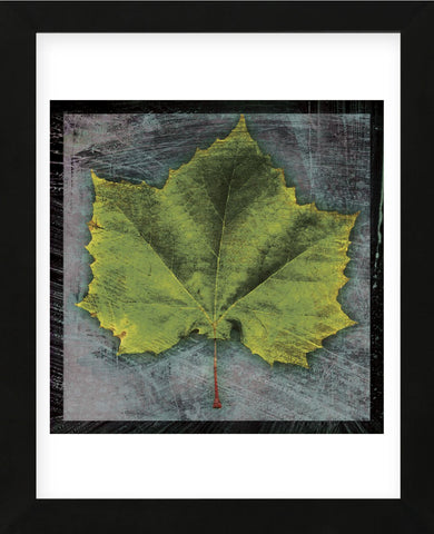 Sycamore (Framed) -  John W. Golden - McGaw Graphics