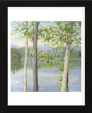 Cooper Lake II (Framed) -  Elissa Gore - McGaw Graphics