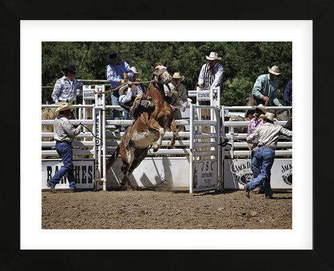 Chute #2 (color) (Framed) -  Barry Hart - McGaw Graphics
