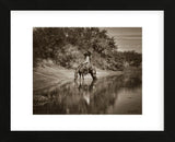 The Pond (Framed) -  Barry Hart - McGaw Graphics