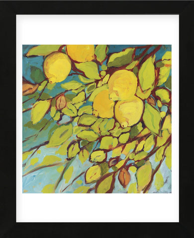 The Lemons Above (Framed) -  Jennifer Lommers - McGaw Graphics