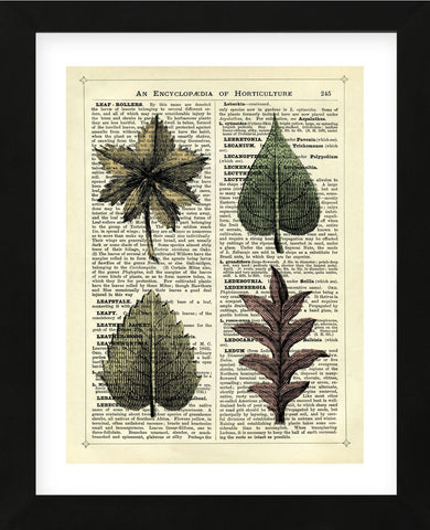Set of 4 Leaves (Framed) -  Marion McConaghie - McGaw Graphics