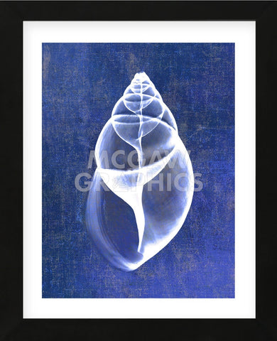 Achatina Shell (indigo) (Framed) -  Bert Myers - McGaw Graphics
