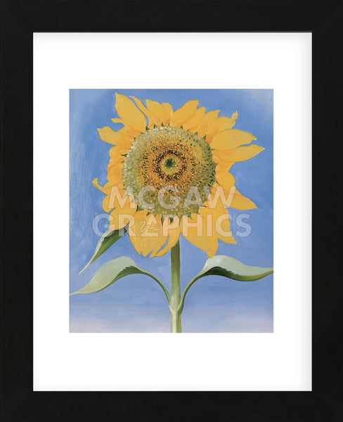 Sunflower, New Mexico, 1935 (Framed) | McGaw Graphics