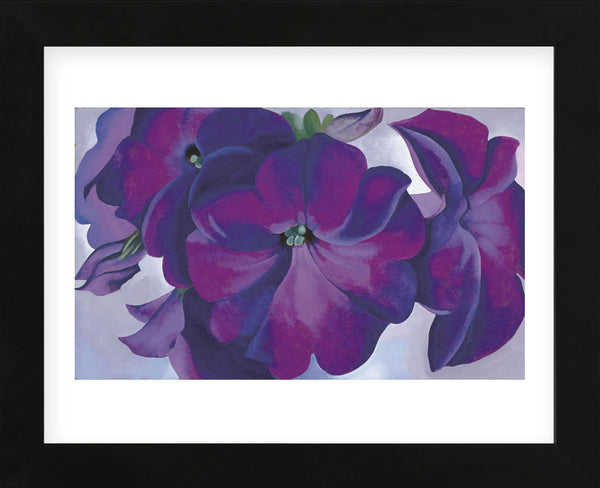 Petunias, 1925 (Framed) | McGaw Graphics